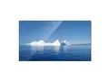 Goodview (Maxhub) 55" 700nits 24/7 3 års garanti.