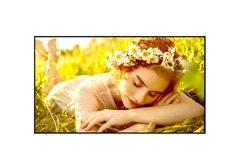 LG UL3 Series 55" IPS UHD 500nit 24/7 webOS Speaker wifi