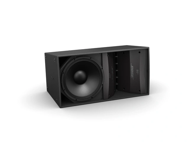 BOSE ARENAMATCH AM10/100 OUTDOORLDSPKR 100x10 