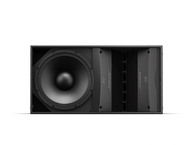 BOSE ARENAMATCH AM10/100 OUTDOORLDSPKR 100x10 