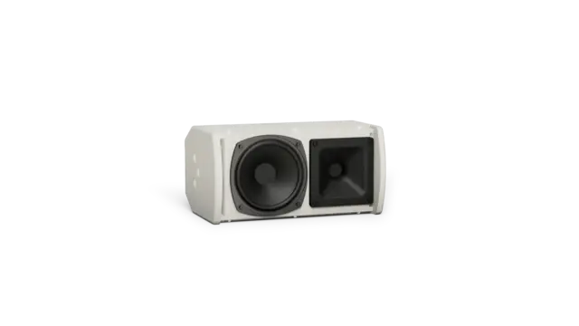 BOSE ARENAMATCH AMU105 100X100 OUTDOOR LDSPK WHT 