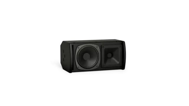 BOSE ARENAMATCH AMU105 100X100 OUTDOOR LDSPK BLK 