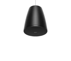 BOSE DESIGNMAX DM6PE PAIR BLACK
