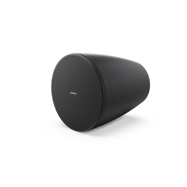 BOSE DESIGNMAX DM6PE PAIR BLACK 