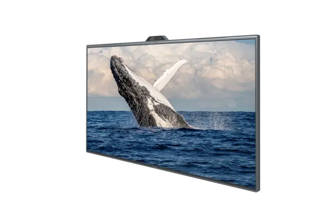 Maxhub 86'' Trascend Series IFP P-Cap Touch/ Windows OPS 